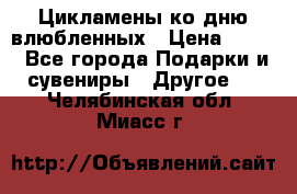 Цикламены ко дню влюбленных › Цена ­ 180 - Все города Подарки и сувениры » Другое   . Челябинская обл.,Миасс г.